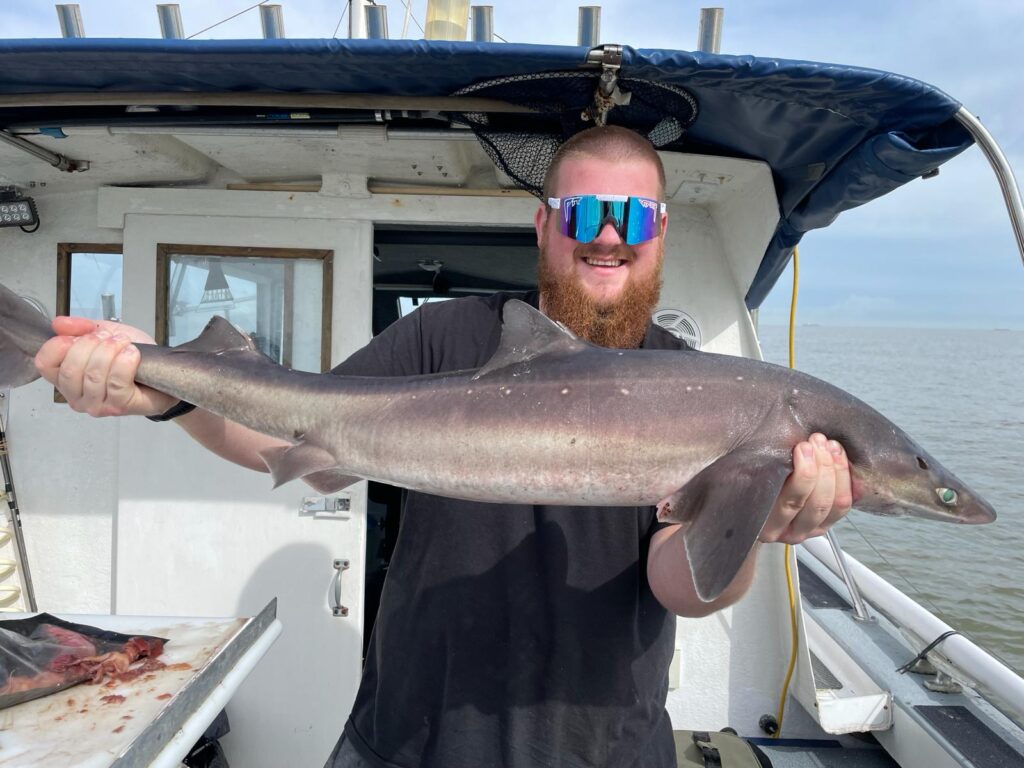 0fd36b15 c9ee 45ed aba3 a406de0c7f5f 2