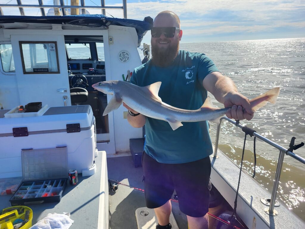 59d9d667 4c9b 4906 922d 432daaca221b