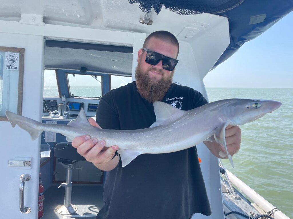 738ec8ee 8114 4b1e aea6 72ccc8bee24c