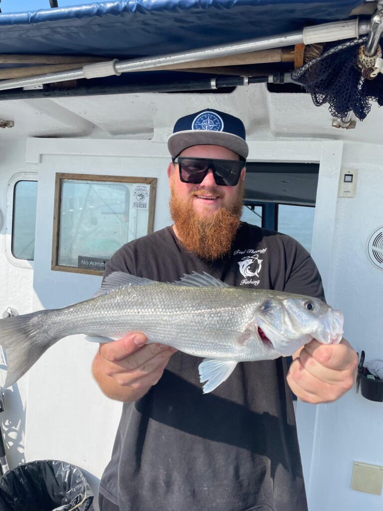 7c7122e6 49bf 497f 8ca1 d3dbae456edb 2