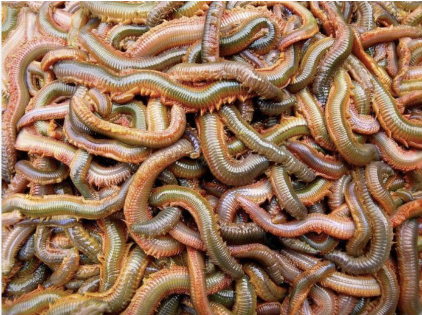 screenshot 2026 02 15 at 13.32.49