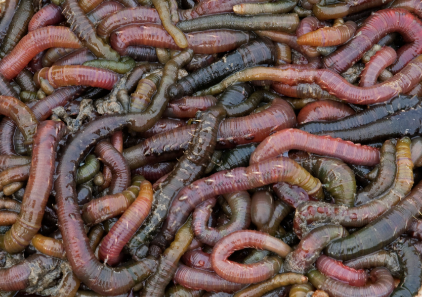 screenshot 2026 02 15 at 14.13.44