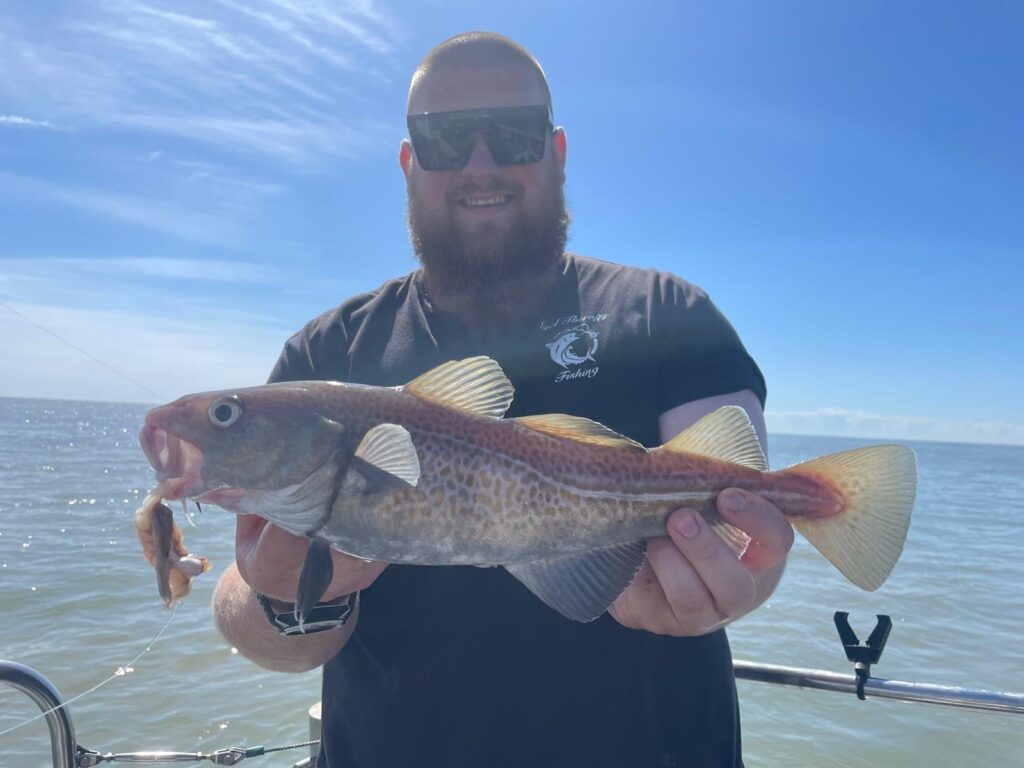 c2466f8a c943 4ee9 a678 e0c4d589d262